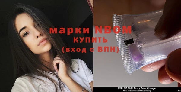 прущие грибы Наволоки