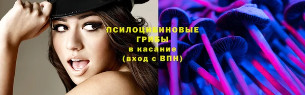 прущие грибы Наволоки
