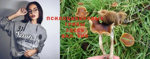 гашик Нефтекумск