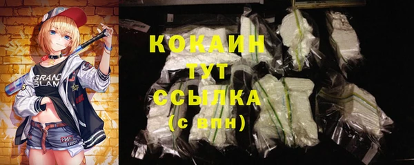 гашик Нефтекумск