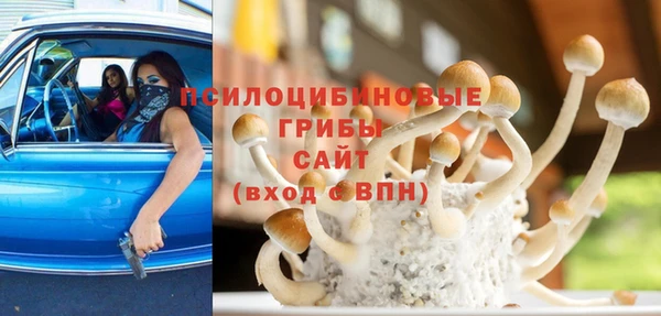 гашик Нефтекумск
